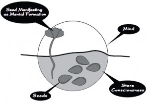 Consciousness Diagram