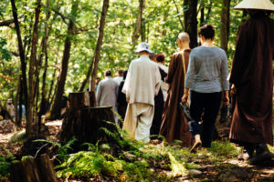 Walking Mediation in the Woods
