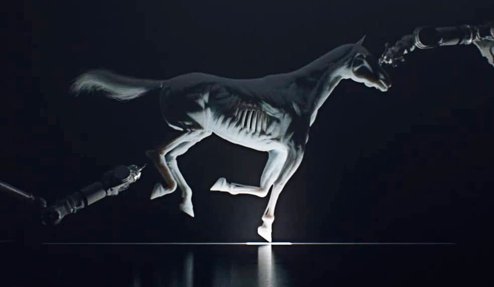 Westword Horse